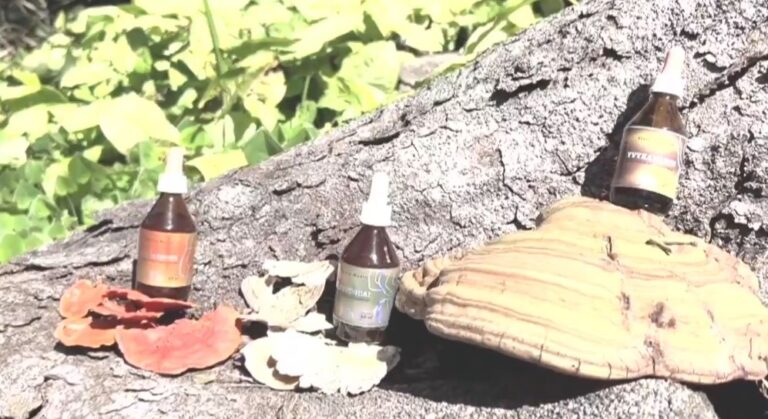 Legislatura: crean el Programa Provincial de Investigación y Desarrollo de Productos de Uso Medicinal de los Hongos y sus Derivados Legislatura: crean el Programa Provincial de Investigación y Desarrollo de Productos de Uso Medicinal de los Hongos y sus Derivados imagen-41