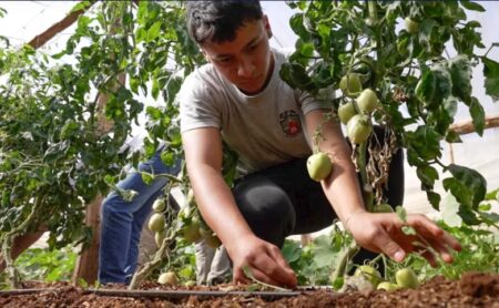 Aniversario 20mo de C6Digital: Beneplácito legislativo por disertación de especialista en Ciencias Ambientales sobre Agricultura Regenerativa en el Teatrino imagen-3