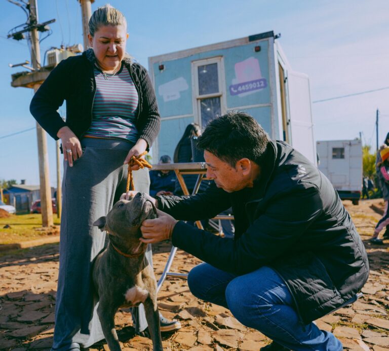 Sanidad animal: el Imusa castra y vacuna en los barrios posadeños Sanidad animal: el Imusa castra y vacuna en los barrios posadeños imagen-29