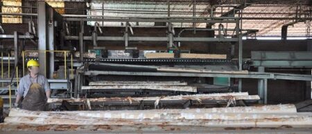 Trabajadores madereros tendrán un festejo por su día signado por la incertidumbre del sector en un contexto de crisis Trabajadores madereros tendrán un festejo por su día signado por la incertidumbre del sector en un contexto de crisis imagen-6