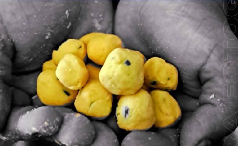 "Nos falta recuperar la humanización de las instituciones", dijo la senadora Rojas Decut en inauguración de muestra fotográfica imagen-2