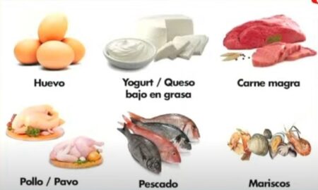 Todo listo en Posadas para el XVI Congreso Argentino de Graduados en Nutrición imagen-4