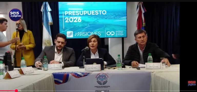 Legislatura: comenzaron las audiencias para el análisis del Presupuesto Provincial 2026 Legislatura: comenzaron las audiencias para el análisis del Presupuesto Provincial 2026 imagen-25