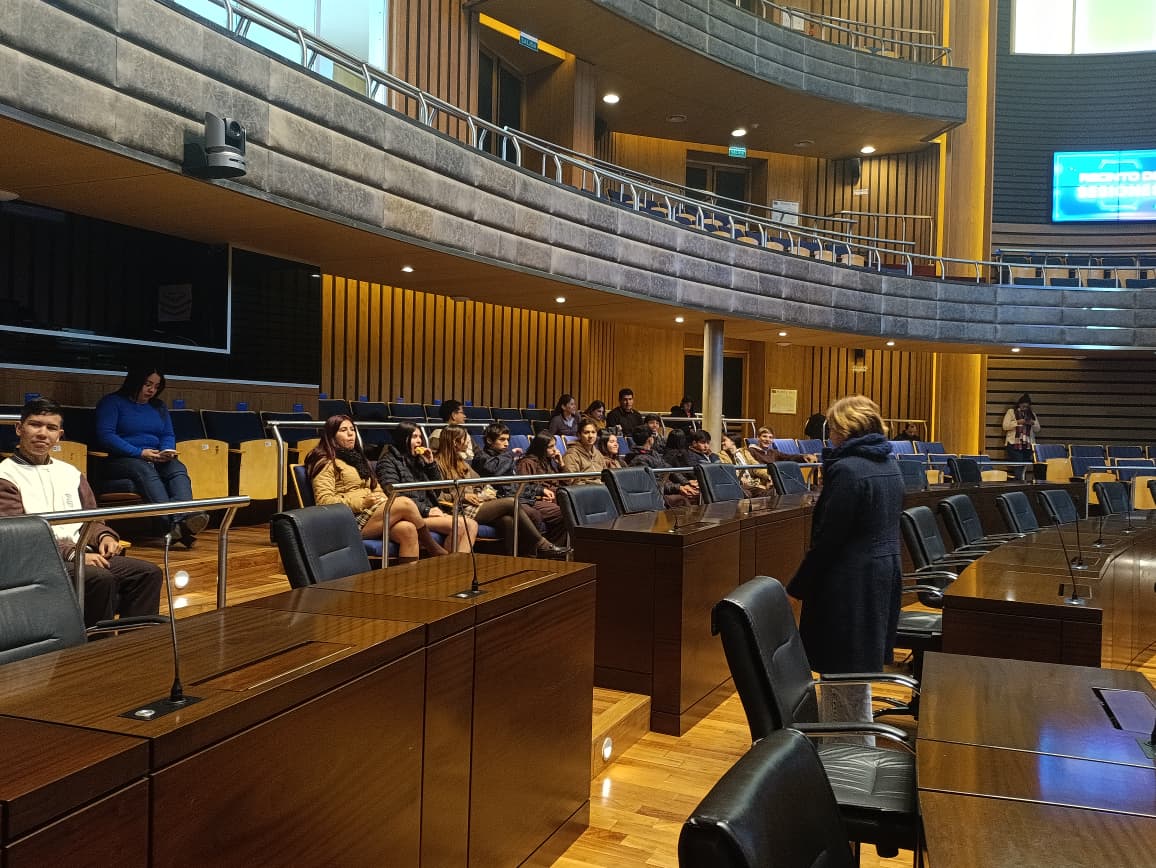 La jornada que combinó educación, política y diversión para estos jóvenes misioneros 3 La jornada que combinó educación, política y diversión para estos jóvenes misioneros imagen-2