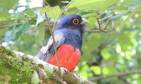 "Volar 2025" contará con disertantes internacionales y nacionales imagen-4