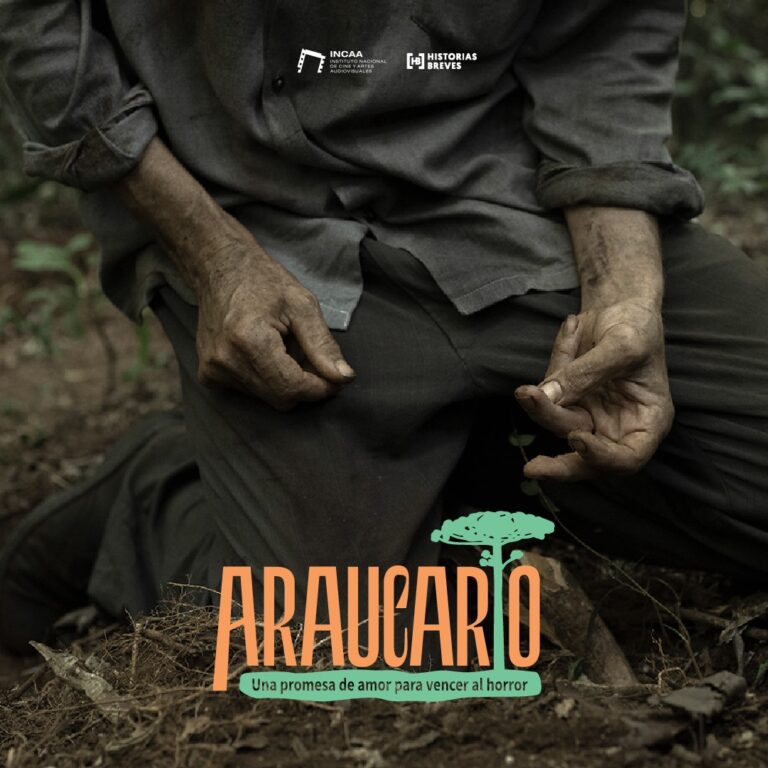 “Araucario”: memoria, cine y resistencia en la pantalla misionera imagen-36