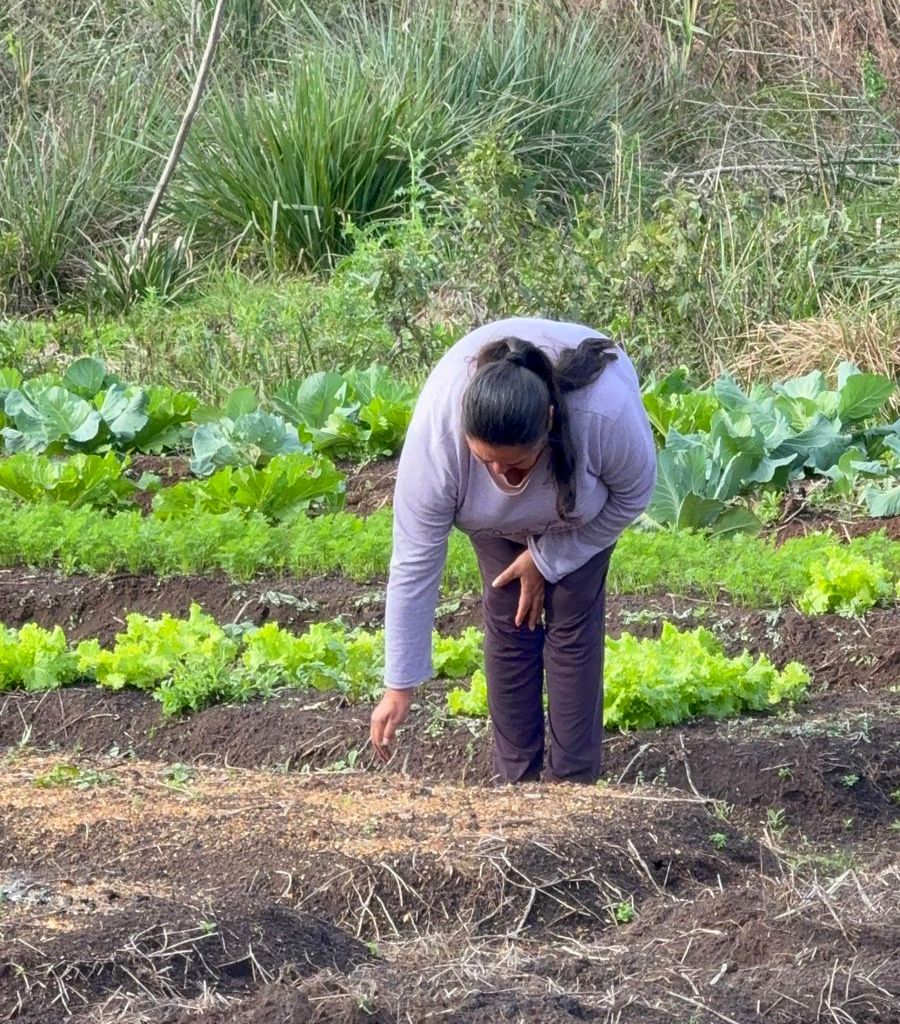 Sanción de la Ley de Promoción del Trabajo y Arraigo Rural: más oportunidades para jóvenes en la chacra, señalan imagen-8