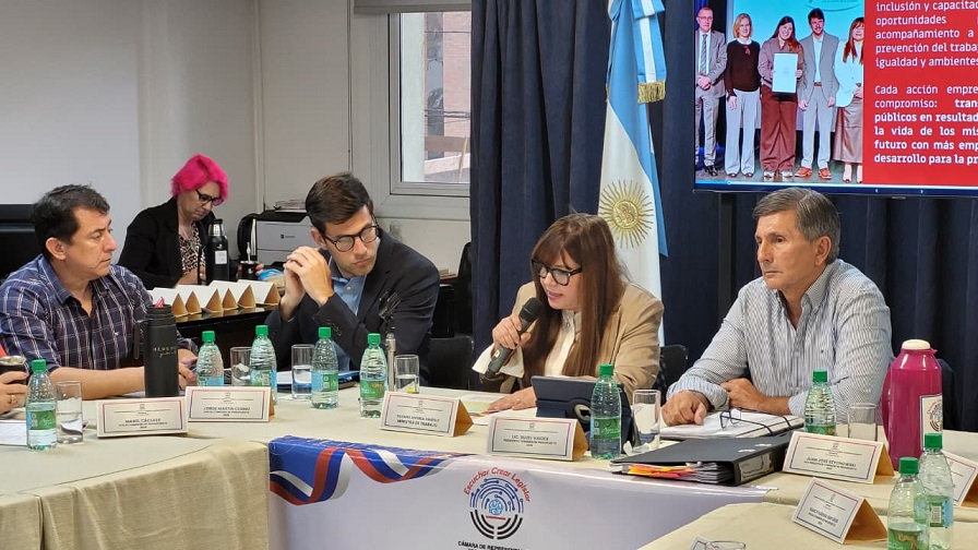 Giménez en Comisión de Presupuesto: datos del Ministerio de Trabajo ubican a Misiones como la provincia con mayor dinamismo laboral del NEA 3 Giménez en Comisión de Presupuesto: datos del Ministerio de Trabajo ubican a Misiones como la provincia con mayor dinamismo laboral del NEA imagen-2