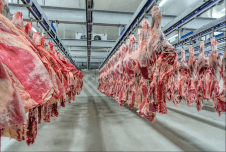 El Gobierno extendió la quita temporal de retenciones también a las carnes bovinas y avícolas imagen-8