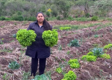 Sanción de la Ley de Promoción del Trabajo y Arraigo Rural: más oportunidades para jóvenes en la chacra, señalan imagen-5