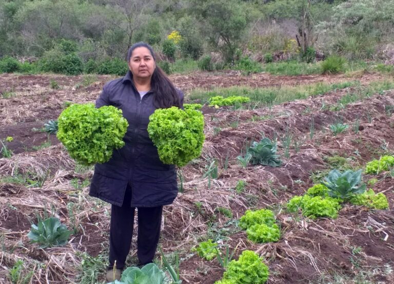 Sanción de la Ley de Promoción del Trabajo y Arraigo Rural: más oportunidades para jóvenes en la chacra, señalan Sanción de la Ley de Promoción del Trabajo y Arraigo Rural: más oportunidades para jóvenes en la chacra, señalan imagen-49