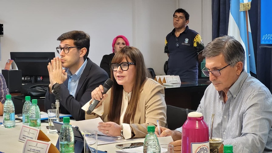 Giménez en Comisión de Presupuesto: datos del Ministerio de Trabajo ubican a Misiones como la provincia con mayor dinamismo laboral del NEA 5 Giménez en Comisión de Presupuesto: datos del Ministerio de Trabajo ubican a Misiones como la provincia con mayor dinamismo laboral del NEA imagen-4