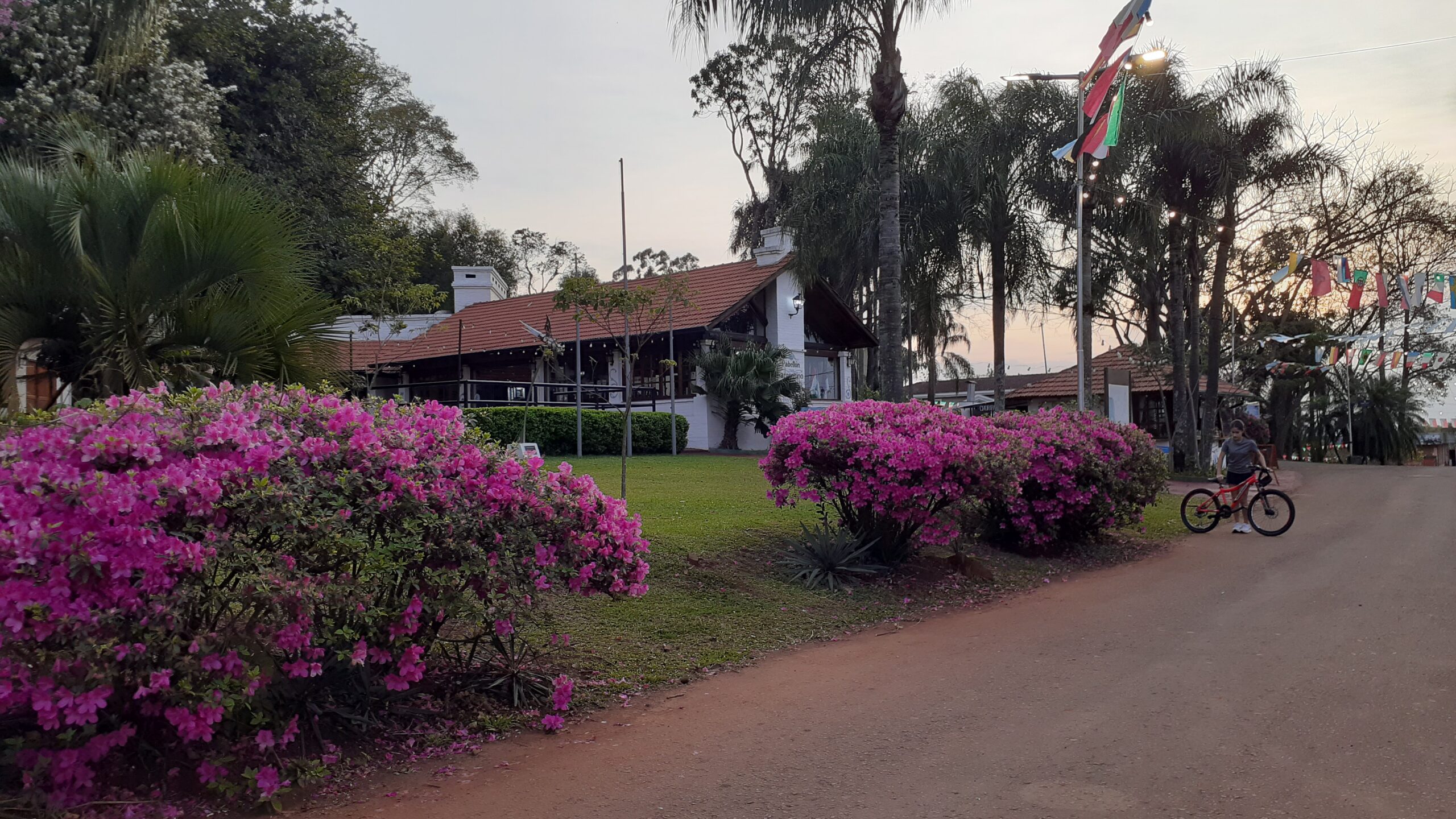 Comienza la 45ta Fiesta Nacional del Inmigrante, un abanico de colores, sabores, cultura y sensaciones imagen-4