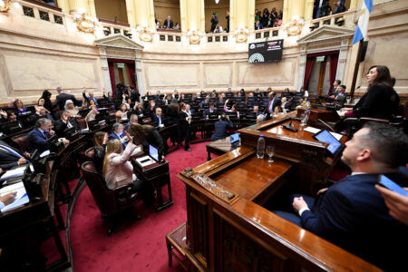 Rechazo al veto de los ATN: "Se reafirmó la defensa del federalismo", dijo el senador Arce imagen-7