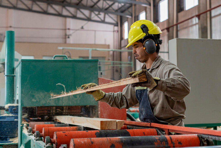 Expo FiPyME 2025: financiamiento y oportunidades para Empresas y Comercios en Misiones imagen-29