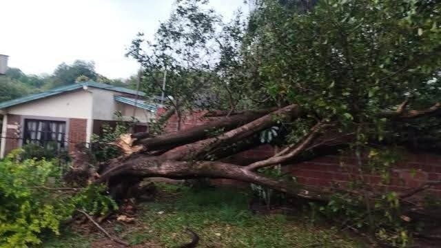Tras la tormenta de Santa Rosa, Protección Civil asistió a ocho familias afectadas en Posadas y recomienda asegurar techos ante nuevas lluvias 3 Tras la tormenta de Santa Rosa, Protección Civil asistió a ocho familias afectadas en Posadas y recomienda asegurar techos ante nuevas lluvias imagen-2