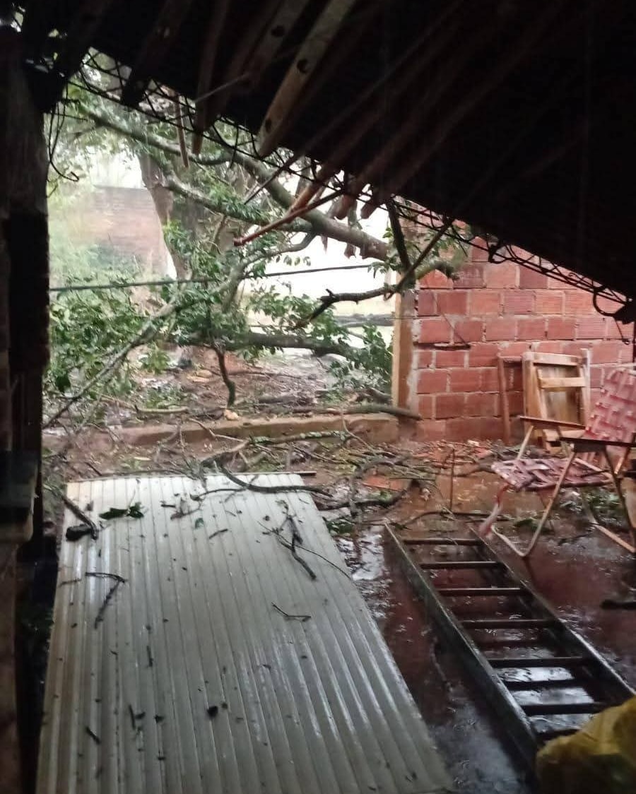 Tras la tormenta de Santa Rosa, Protección Civil asistió a ocho familias afectadas en Posadas y recomienda asegurar techos ante nuevas lluvias 5 Tras la tormenta de Santa Rosa, Protección Civil asistió a ocho familias afectadas en Posadas y recomienda asegurar techos ante nuevas lluvias imagen-4