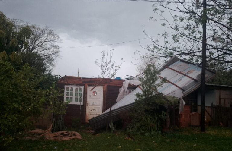 Tras la tormenta de Santa Rosa, Protección Civil asistió a ocho familias afectadas en Posadas y recomienda asegurar techos ante nuevas lluvias Tras la tormenta de Santa Rosa, Protección Civil asistió a ocho familias afectadas en Posadas y recomienda asegurar techos ante nuevas lluvias imagen-7