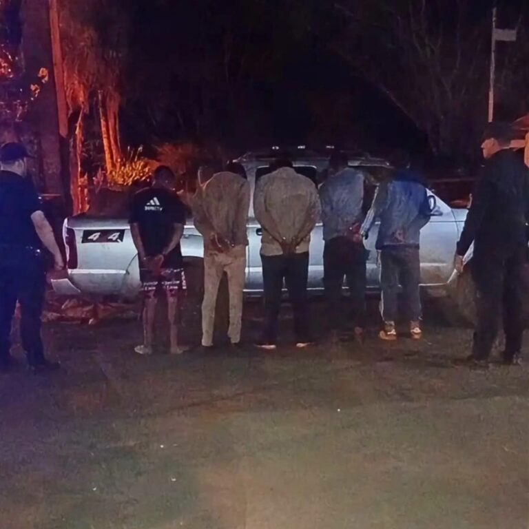 La Policía capturó a una banda que robaba ganado y los sorprendió con un vacuno de más de 400 kilos que mataron a tiros imagen-10