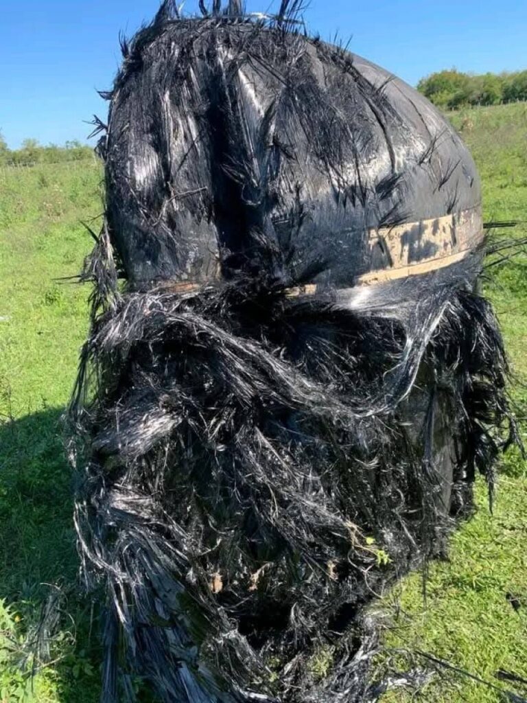 Chaco: retiraron el objeto de forma cilíndrica que cayó del cielo imagen-45