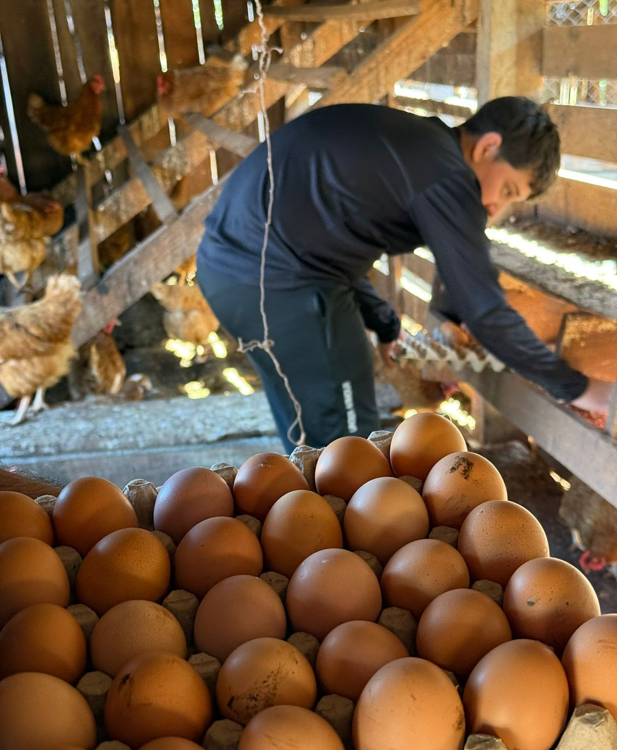 Sanción de la Ley de Promoción del Trabajo y Arraigo Rural: más oportunidades para jóvenes en la chacra, señalan imagen-6