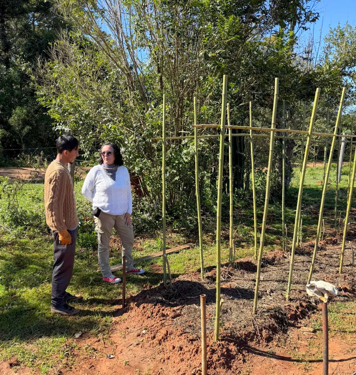 Sanción de la Ley de Promoción del Trabajo y Arraigo Rural: más oportunidades para jóvenes en la chacra, señalan imagen-12