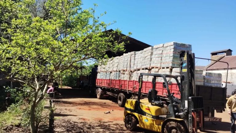 El Inym clausuró un molino, intervino 33 mil kilos de yerba mate envasada e inutilizó 150 mil kilos de palitos imagen-17