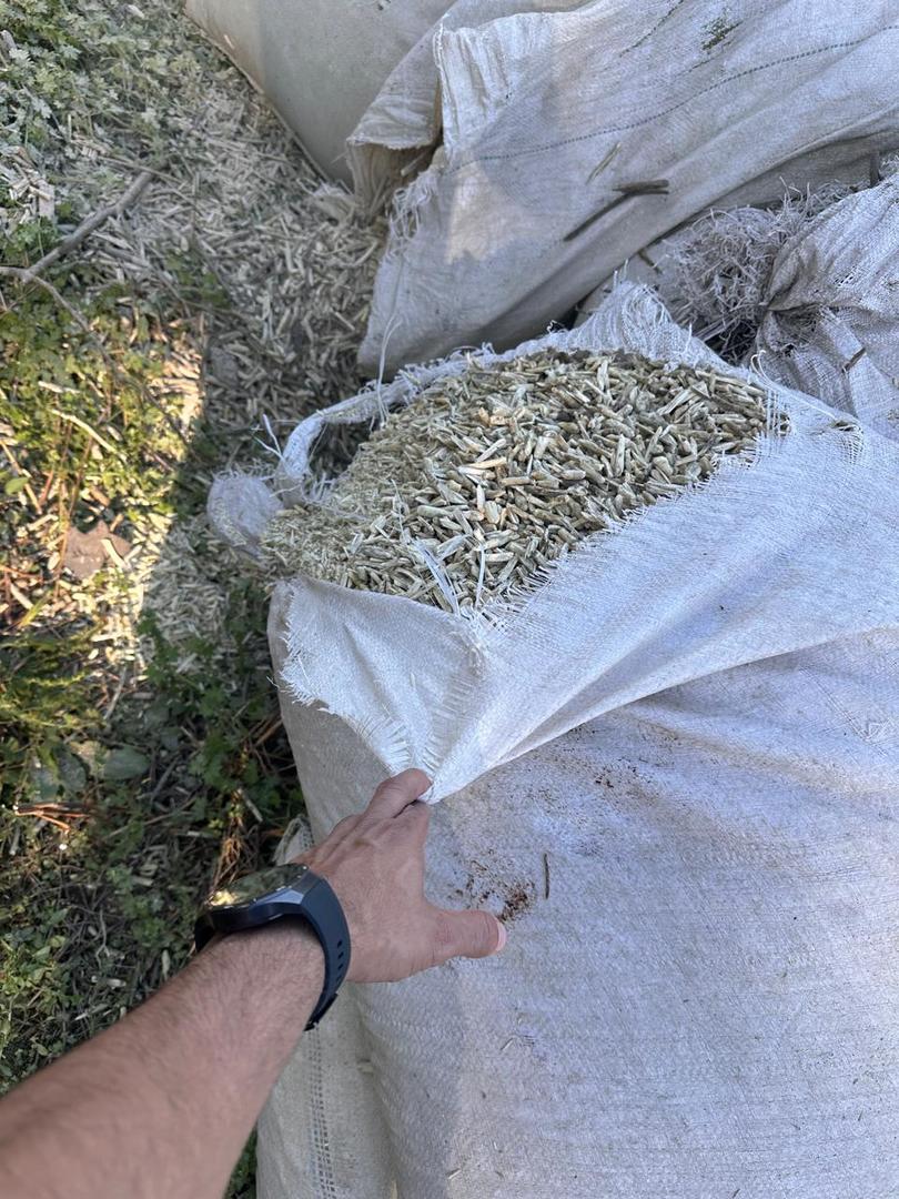 El Inym clausuró un molino, intervino 33 mil kilos de yerba mate envasada e inutilizó 150 mil kilos de palitos imagen-2
