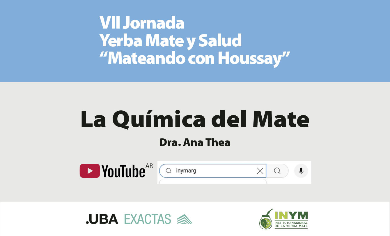 “Cuando tomamos mate, nos hidratamos e incorporamos antioxidantes al organismo”, destacan en la VII Jornada Yerba Mate y Salud imagen-6