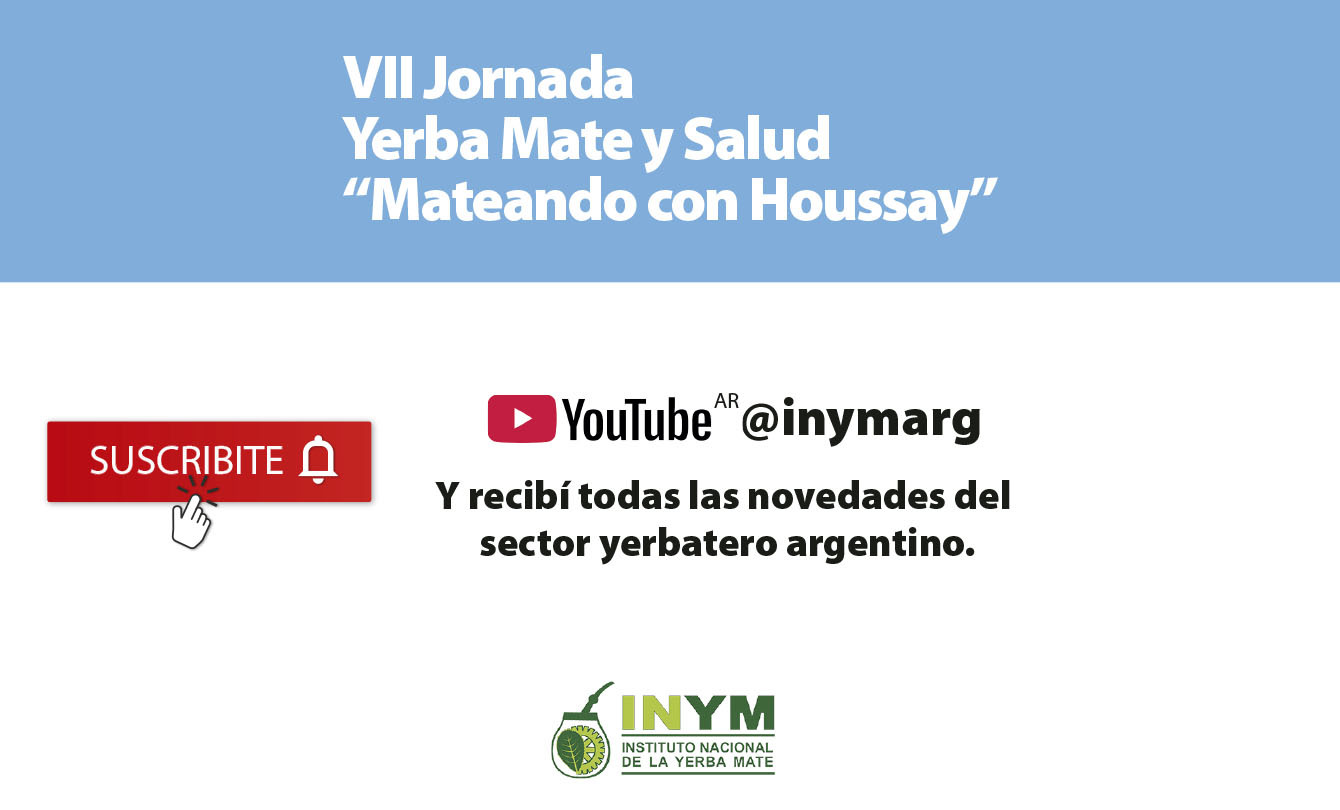 “Cuando tomamos mate, nos hidratamos e incorporamos antioxidantes al organismo”, destacan en la VII Jornada Yerba Mate y Salud imagen-14