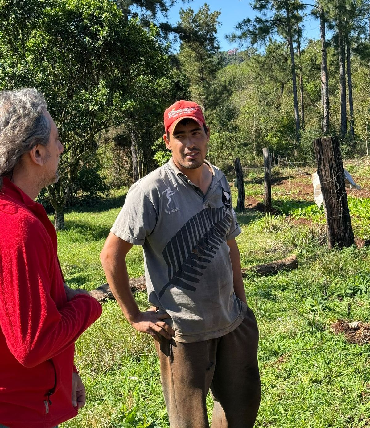 Sanción de la Ley de Promoción del Trabajo y Arraigo Rural: más oportunidades para jóvenes en la chacra, señalan imagen-16