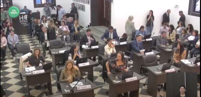 Concejales posadeños aprueban un programa para fortalecer la participación ciudadana Concejales posadeños aprueban un programa para fortalecer la participación ciudadana imagen-1