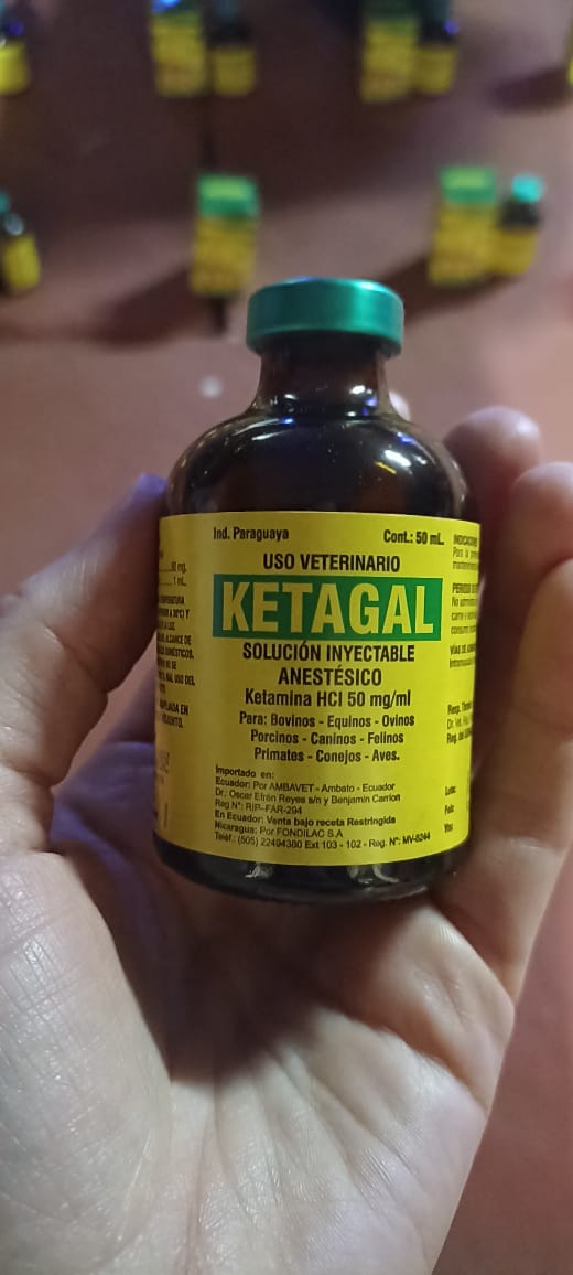 Arrojaron desde una moto 96 frascos de ketamina de origen paraguayo imagen-2