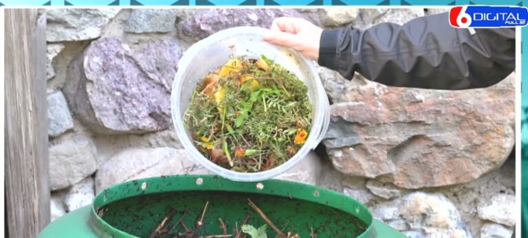 Del 22 de marzo al 22 de abril de cada año será el Mes del Compostaje imagen-33