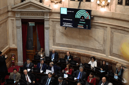 Senado: la oposición dejó sin efecto el veto de Milei y reactivó la ley de Emergencia en Discapacidad imagen-6