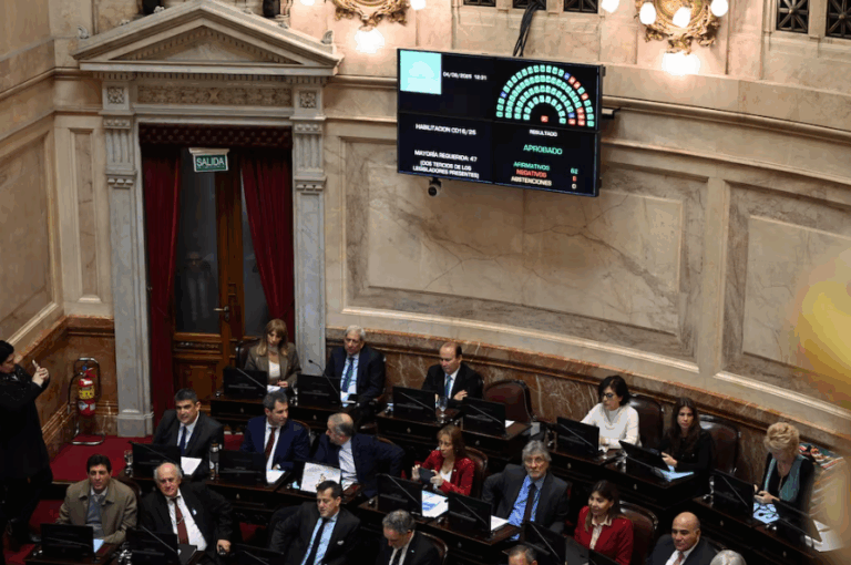 Senado: la oposición dejó sin efecto el veto de Milei y reactivó la ley de Emergencia en Discapacidad Senado: la oposición dejó sin efecto el veto de Milei y reactivó la ley de Emergencia en Discapacidad imagen-23