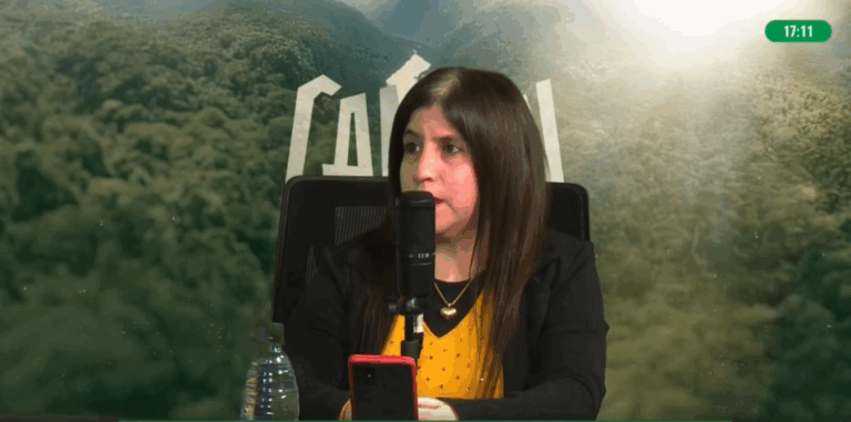 Suspensión de pensiones por discapacidad en Misiones: Soledad Varela alertó sobre auditorías arbitrarias y falta de acceso a derechos básicos Suspensión de pensiones por discapacidad en Misiones: Soledad Varela alertó sobre auditorías arbitrarias y falta de acceso a derechos básicos imagen-46