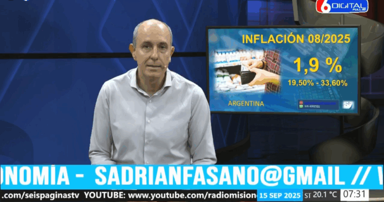 El impacto de la sobrevaloración del peso y la caída de productividad en la economía argentina previo a octubre imagen-48