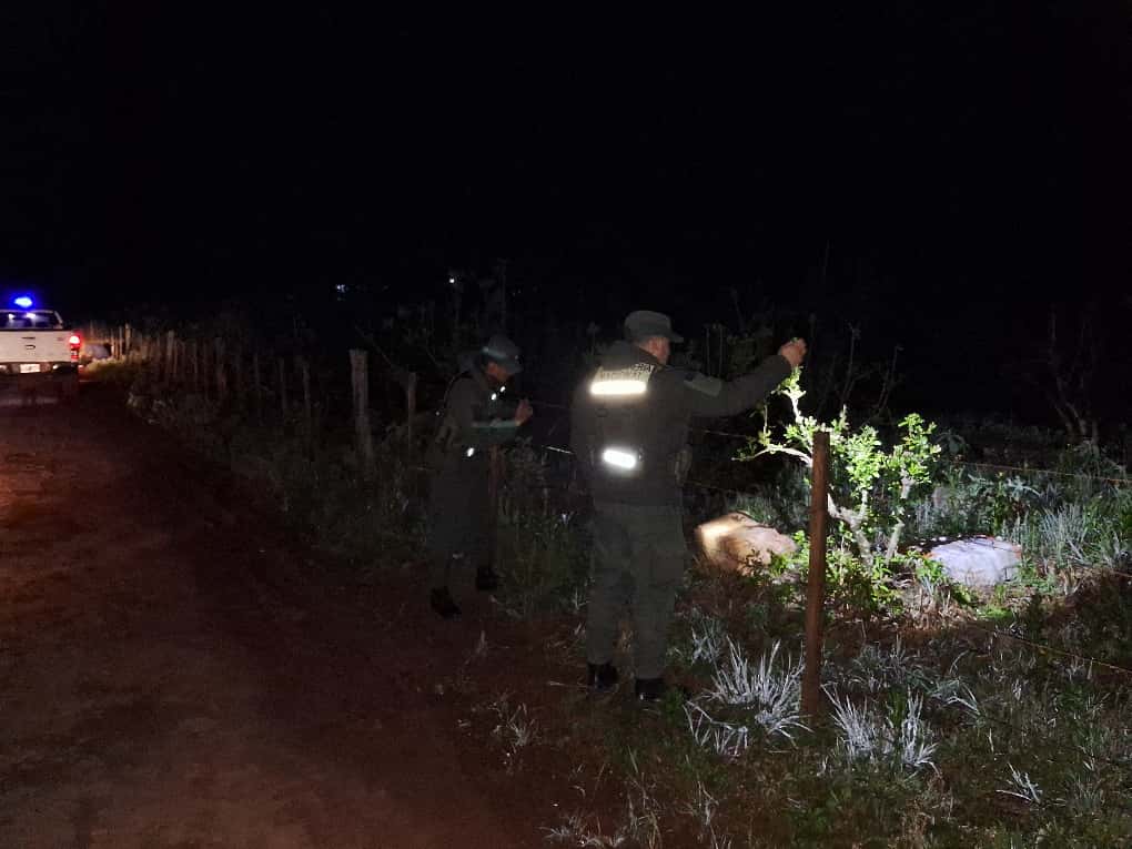 Circulaban por un camino vecinal con las luces apagadas, armados y con 84 kilos de marihuana 3 Circulaban por un camino vecinal con las luces apagadas, armados y con 84 kilos de marihuana imagen-2