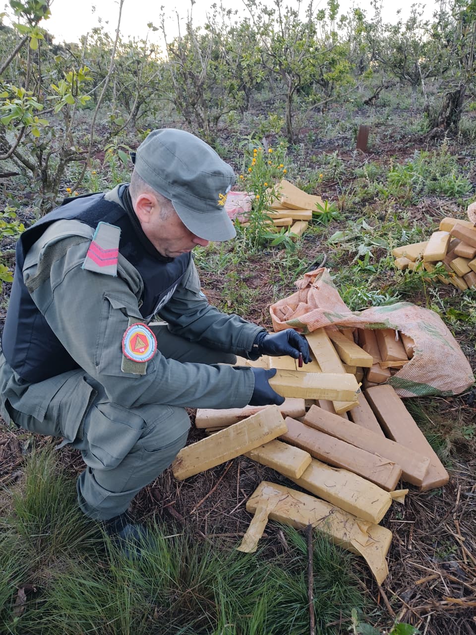 Circulaban por un camino vecinal con las luces apagadas, armados y con 84 kilos de marihuana 11 Circulaban por un camino vecinal con las luces apagadas, armados y con 84 kilos de marihuana imagen-10
