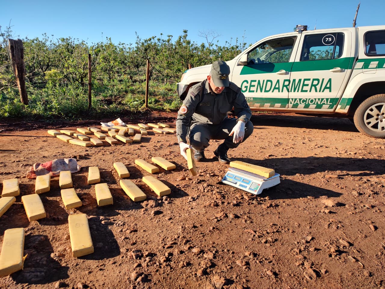 Circulaban por un camino vecinal con las luces apagadas, armados y con 84 kilos de marihuana 9 Circulaban por un camino vecinal con las luces apagadas, armados y con 84 kilos de marihuana imagen-8