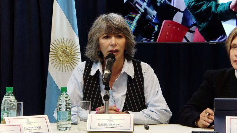 Presupuesto 2026: el Parque del Conocimiento fijó ejes para sostener actividades científicas, artísticas y culturales Presupuesto 2026: el Parque del Conocimiento fijó ejes para sostener actividades científicas, artísticas y culturales imagen-39