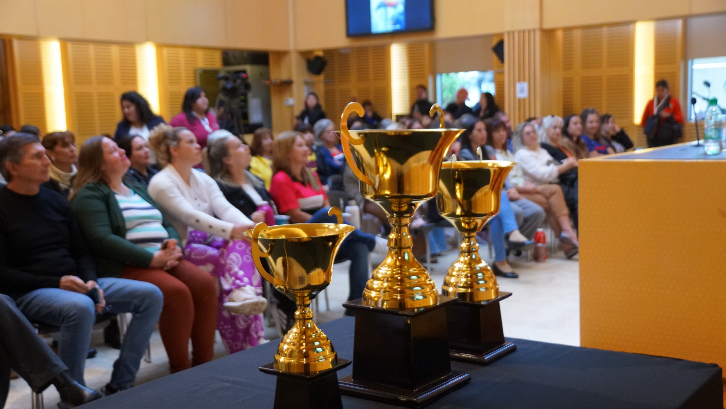 Presentaron en la Legislatura los dos torneos nacionales de Mamis Hockey 15 Presentaron en la Legislatura los dos torneos nacionales de Mamis Hockey imagen-14