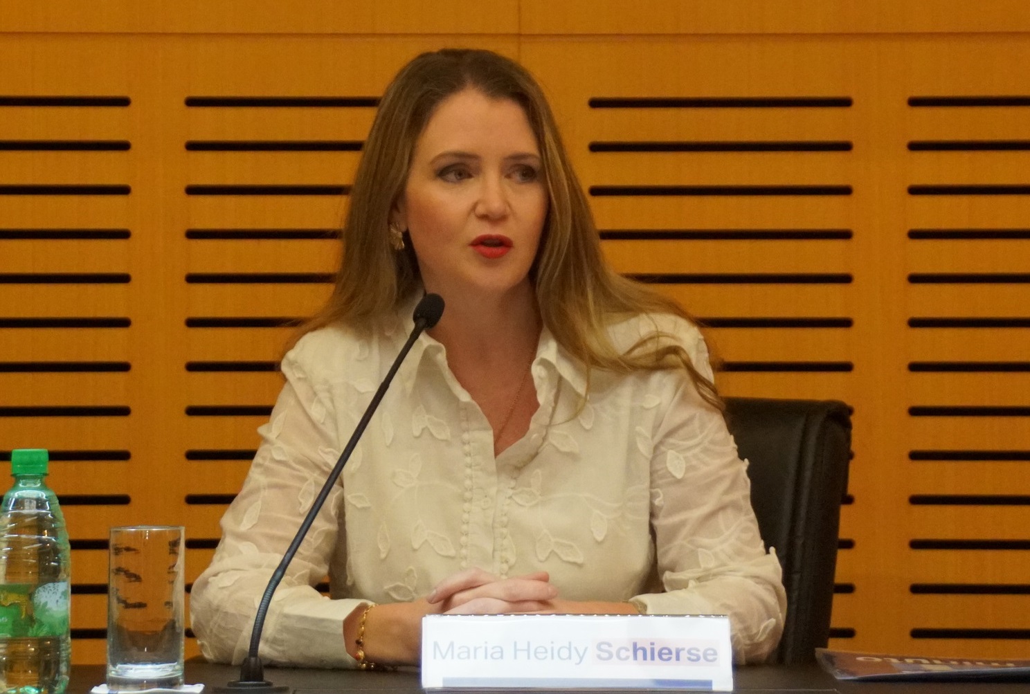 Jornada sobre adopción en la Legislatura: “No hay derecho más profundo que el de vivir en familia" 5 Jornada sobre adopción en la Legislatura: “No hay derecho más profundo que el de vivir en familia" imagen-4