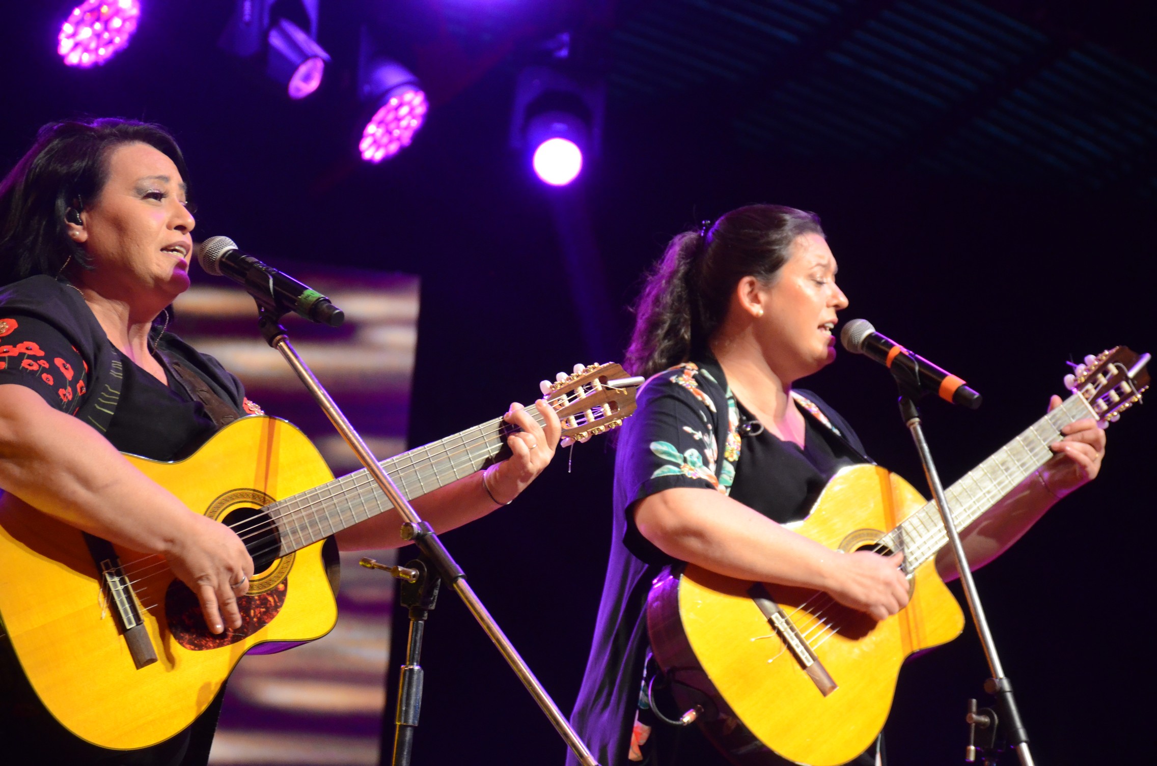 Finalizó la 45ta Fiesta Nacional del Inmigrante anunciando la fecha para la próxima edición imagen-4
