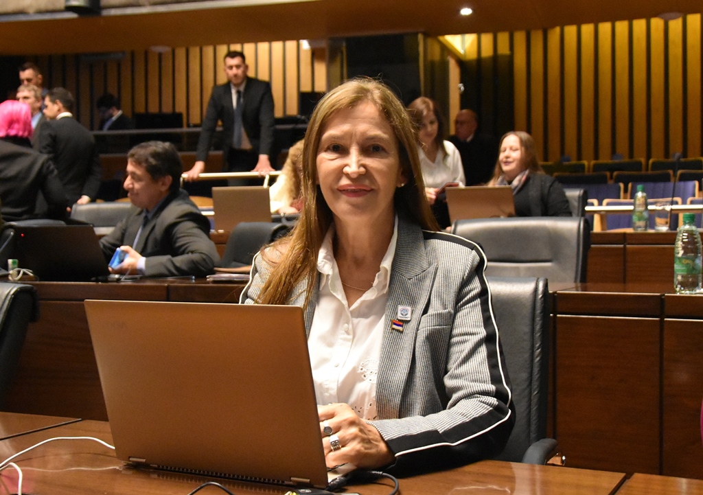 Legislatura instituye el 2 de diciembre como Día Provincial de la Mujer Penitenciaria 3 Legislatura instituye el 2 de diciembre como Día Provincial de la Mujer Penitenciaria imagen-2