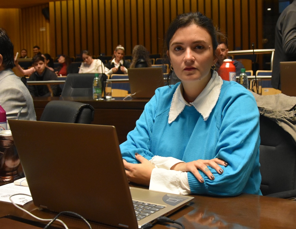 Legislatura: crean el Programa de Arborización Urbana con Yerba Mate imagen-2