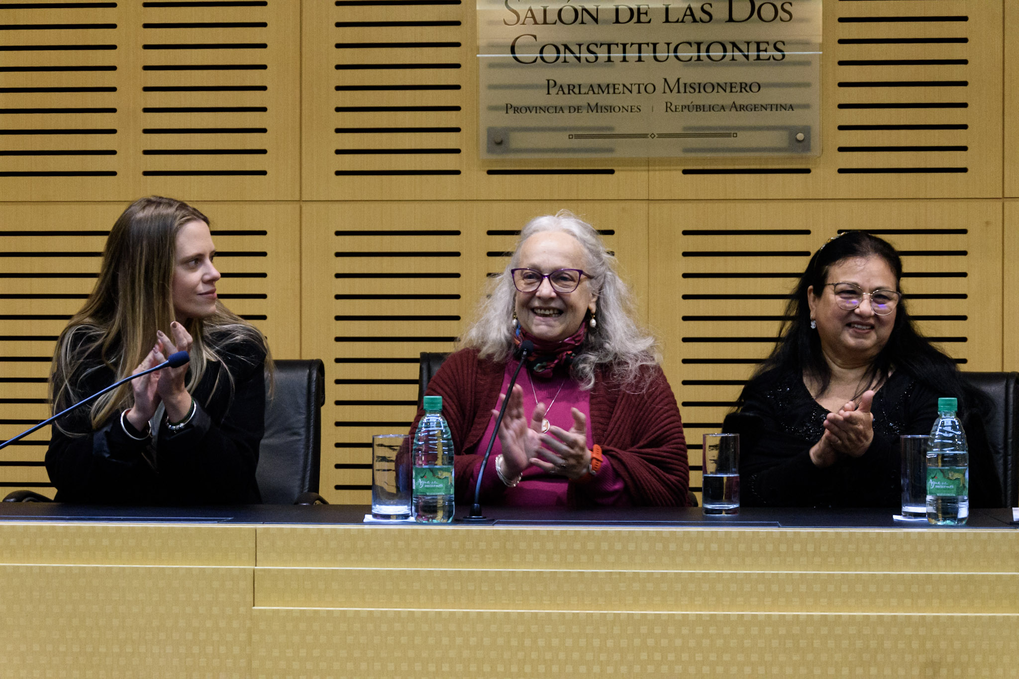 Presentaron en la Legislatura un libro que rescata la obra inédita del arquitecto Alejandro Bustillo en Misiones 3 Presentaron en la Legislatura un libro que rescata la obra inédita del arquitecto Alejandro Bustillo en Misiones imagen-2