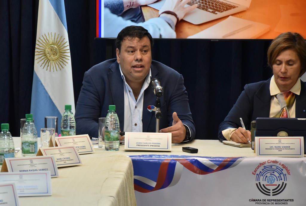 La Legislatura analizó el proyecto de presupuesto 2026 para el Iprodha y Vialidad Provincial 3 La Legislatura analizó el proyecto de presupuesto 2026 para el Iprodha y Vialidad Provincial imagen-2