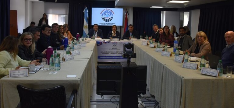 La Legislatura analizó el proyecto de presupuesto 2026 para el Iprodha y Vialidad Provincial La Legislatura analizó el proyecto de presupuesto 2026 para el Iprodha y Vialidad Provincial imagen-45